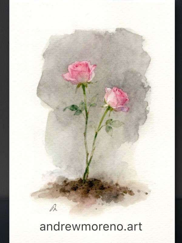 Original Watercolor Rose Painting Collection – 5×7 Collectors Size