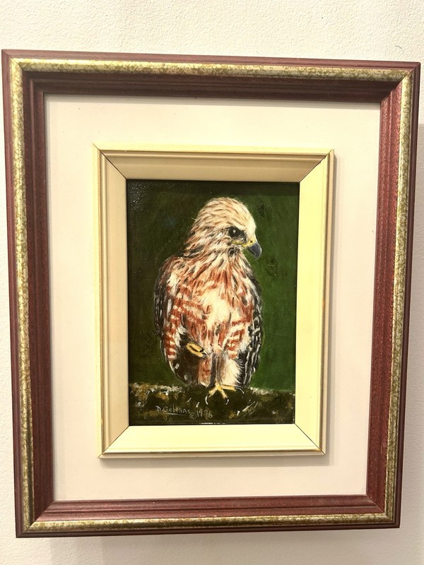 Original Framed Oil Painting Of Redshoulder Hawk 11×12 Wildlife Art