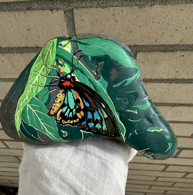 Butterfly Hand Painted in Acrylic ! On a Rock! Approx 7x4x4