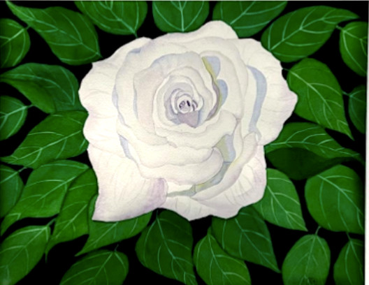 PAINTING WATERCOLOR 11×14 MAT 16X20 FLOWER ROSE WHITE PURPLE BLUE ORIGINAL ART