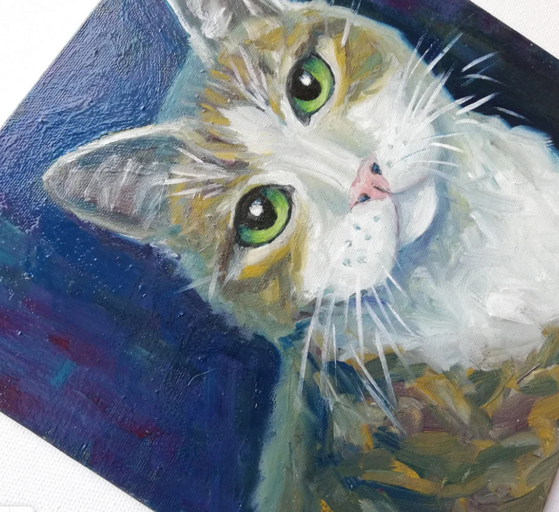 Cat oil painting original. Painting animal by photo for cat lovers. 25x25 cm gallery