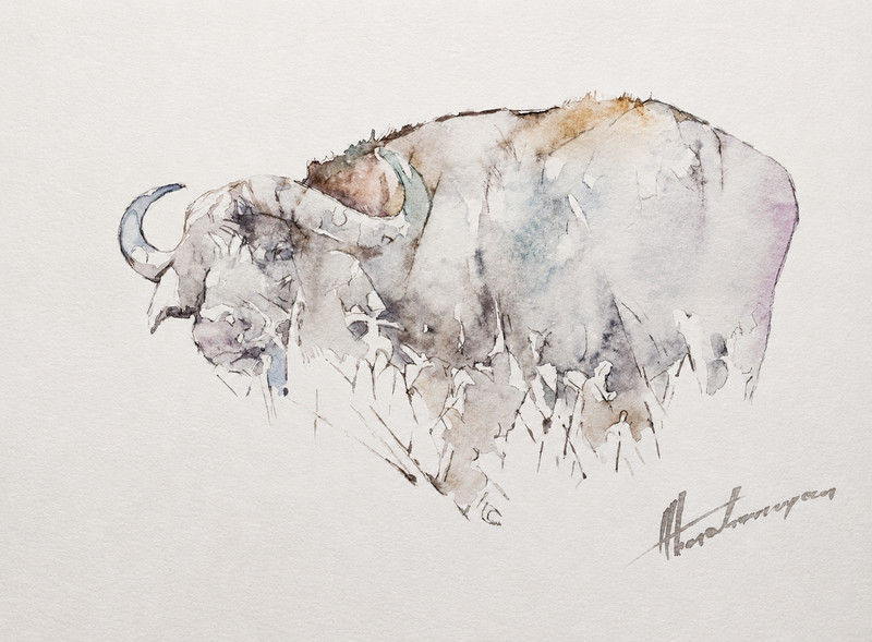 Buffalo
