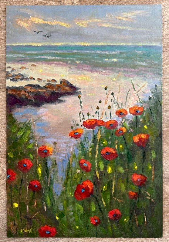Large Original Oil Painting Poppy Landscape Coastal Seascape 23x15 inch art gallery