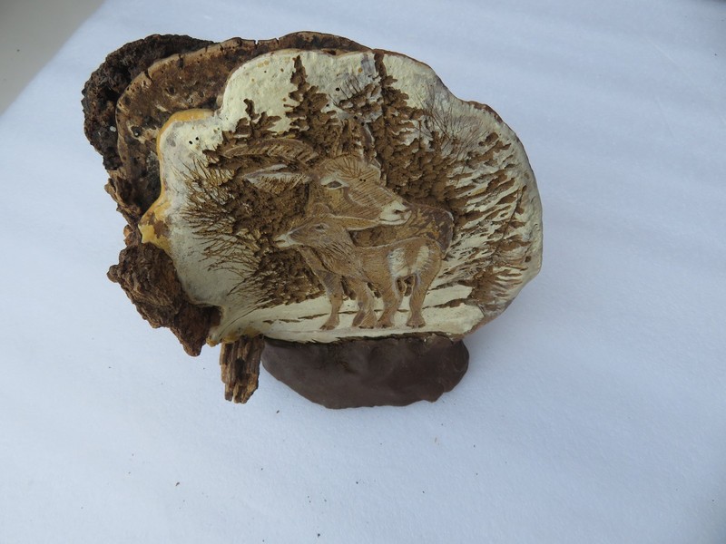 Rare Hand Carved Ram & calf in Birch Trees Conk Shelf Mushroom Fungus Folk Art gallery
