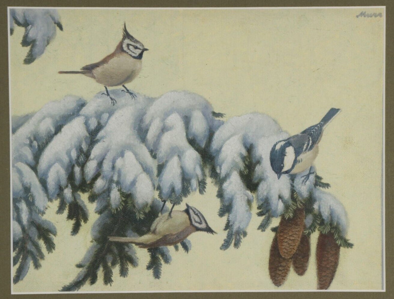 FRANZ MURR ~ crested tit & fir tit ~ painting signed birds tit painting
