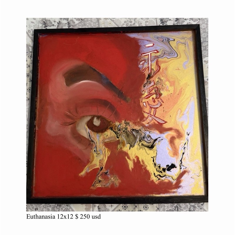 Euthanasia Original Abstract Eye Painting Art Framed 12×12 in Single Piece