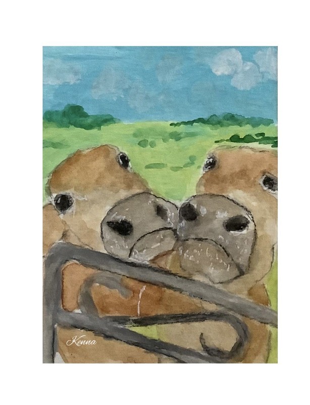 Aceo Gouache Painting By Kenna Whimsy 2 x Cows 2.5” X 3.5” Signed Original