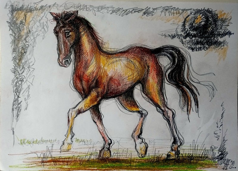 Horse Graphics Original Art Impression Oil Painting 8 x 11.4 in