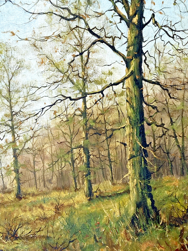 Listed Artist James Wright Signed Oil Painting Forest Path English British gallery
