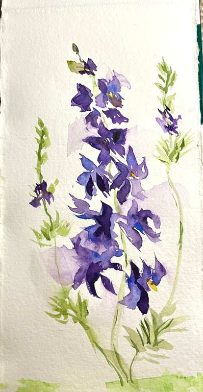 Original watercolor painting of purple Delphinium, signed by artist. OOAK
