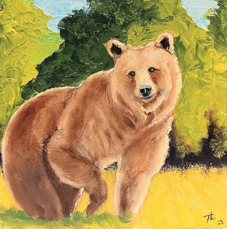 CURIOUSITY, 6X6x3/4 Original Oil Painting of a Grizzly Bear by Ty Livingston.