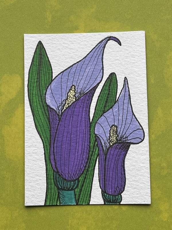 ACEO 2.5×3.5″ Original Botanical «Purple Calla Lily» Acrylic 2026 K Fowler Art