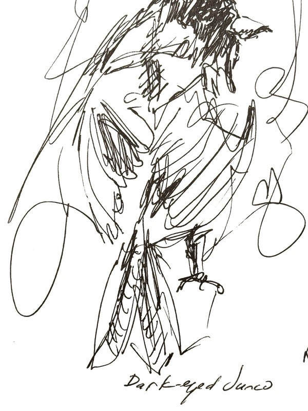 Original Abstract Expressive 9X12 Paper Pen and Ink Bird Handmade Signed 12 gallery