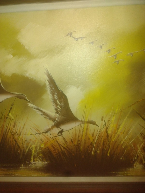 Large Ducks?/Mallards Oil On Canvas Signed Matson. gallery