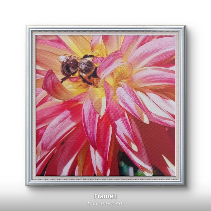Original Flower Bumblebee Photo Art Enhanced Acrylic Unframed by Charlene Slie gallery