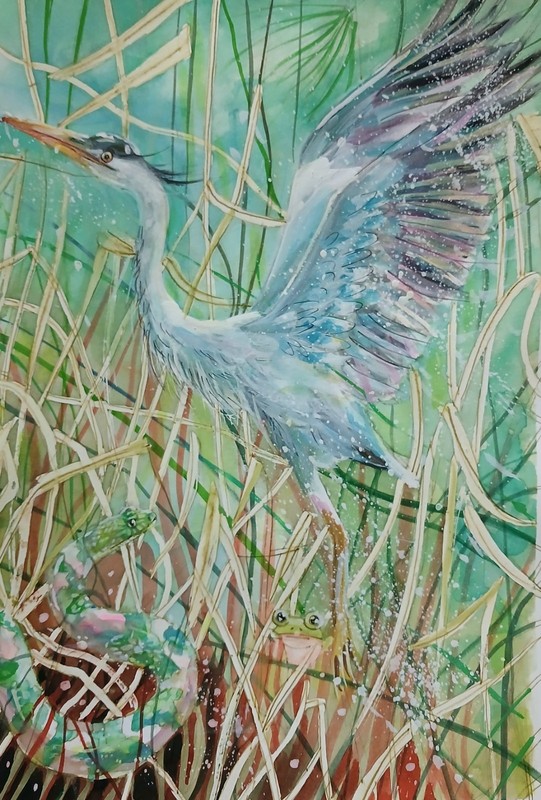 Kay Dawson watercolours A3 Blue heron glow in the dark WATERCOLOr