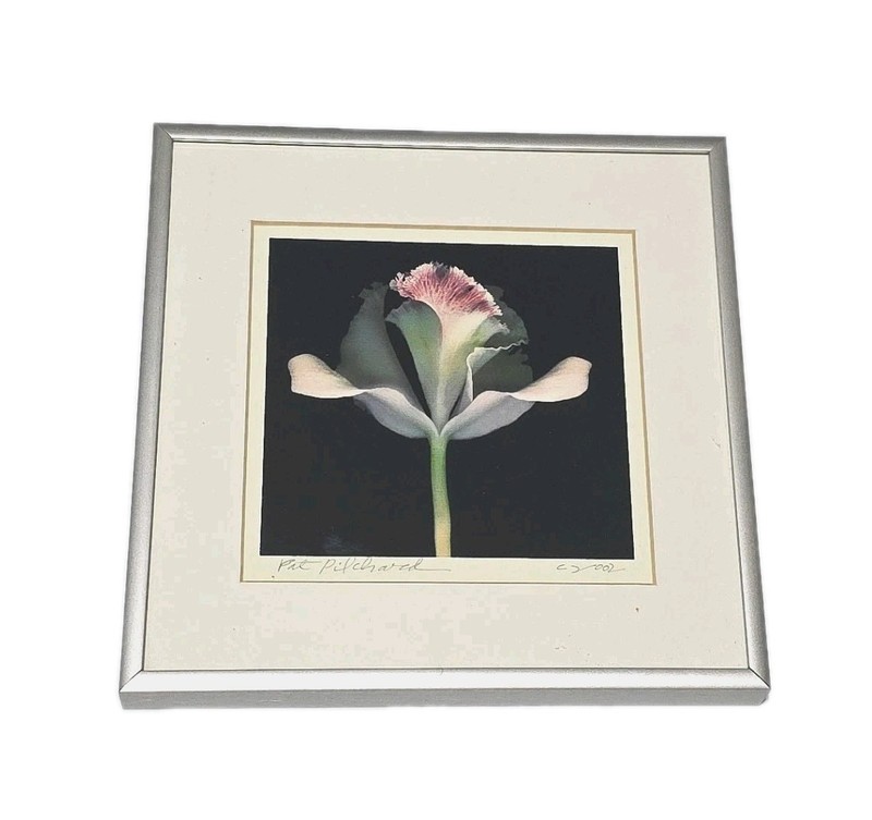 Pat Pilchard Art Flower Print Manipulated Photo 10×10 Photography