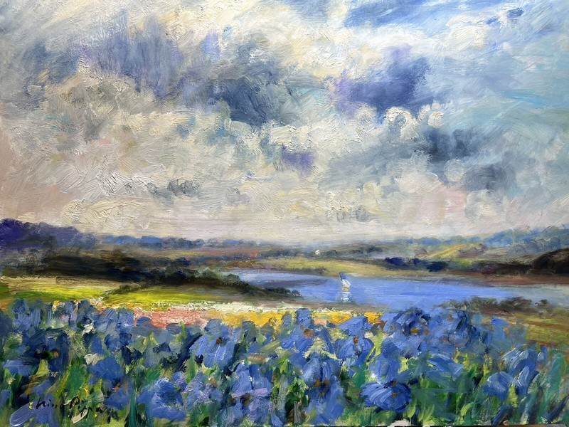 16 X 20 Artist Nino Pippa Original Painting Provence Lily Field In Rhone Valley