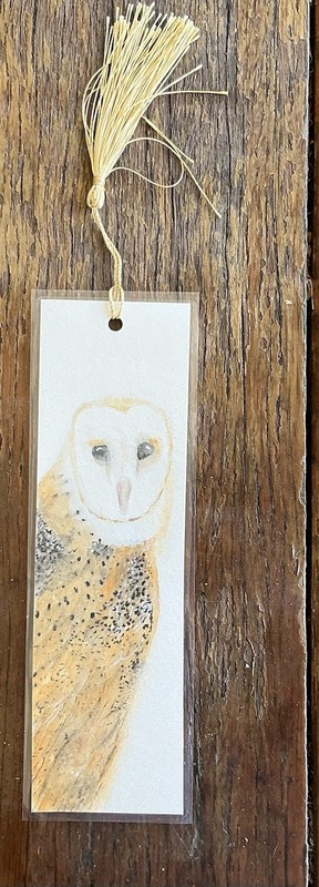 Bookmark laminated artwork With Tassel Whimsy Owl By Kenna 20cm X 6cm gallery