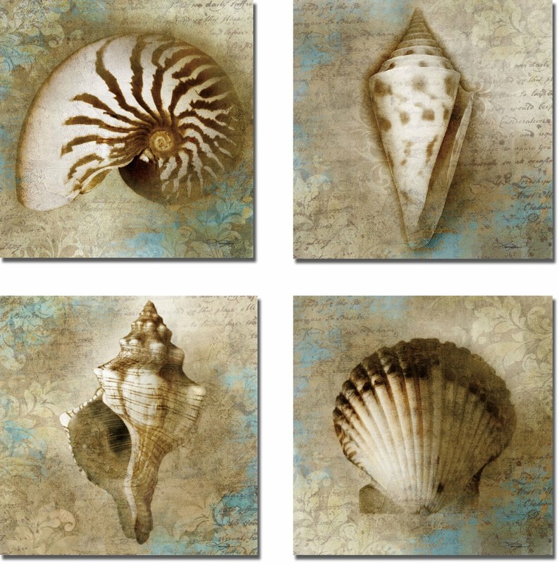 Sea Shells by Mallett 4-pc Gallery-Wrapped Canvas Giclee Set (12 in x 12 in Ea.)
