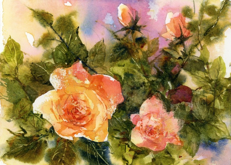 TEA ROSES – LINDA HENRY FLORAL – ORIGINAL WATERCOLOR PAINTING 5×7 with 8×10 Mat