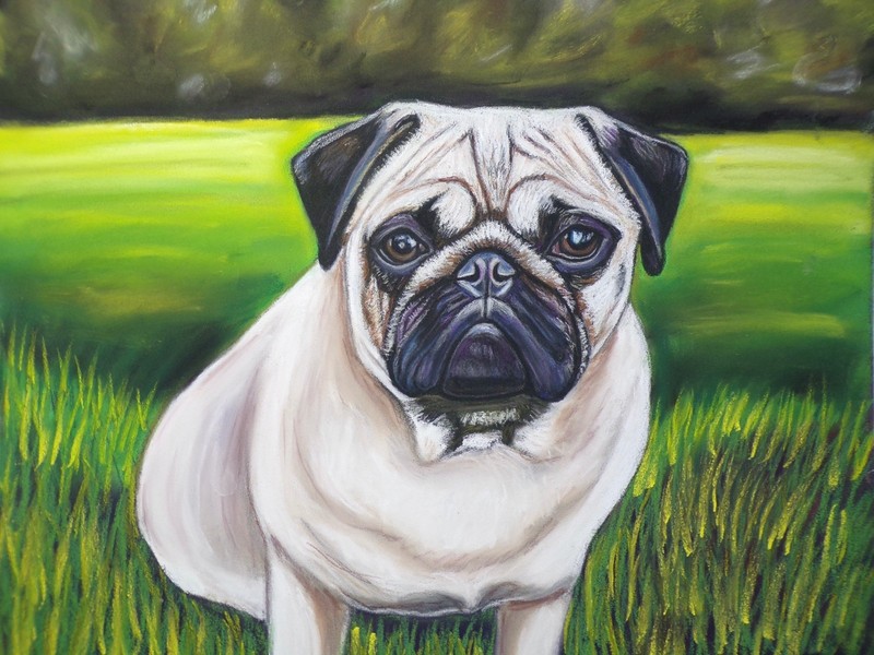 Pug dog Portrait Original Painting