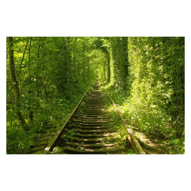Landscapes and Views «Tunnel of Love» by Unknown Artist Tempered Glass Wall Art