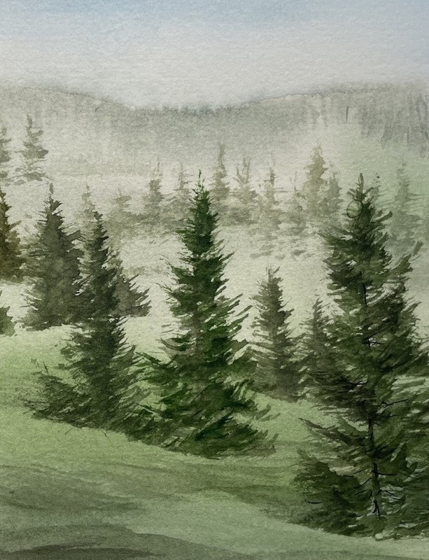 5x7 Pamela Wilhelm Original Watercolor Cool Green Pine Trees On Misty Ridge gallery