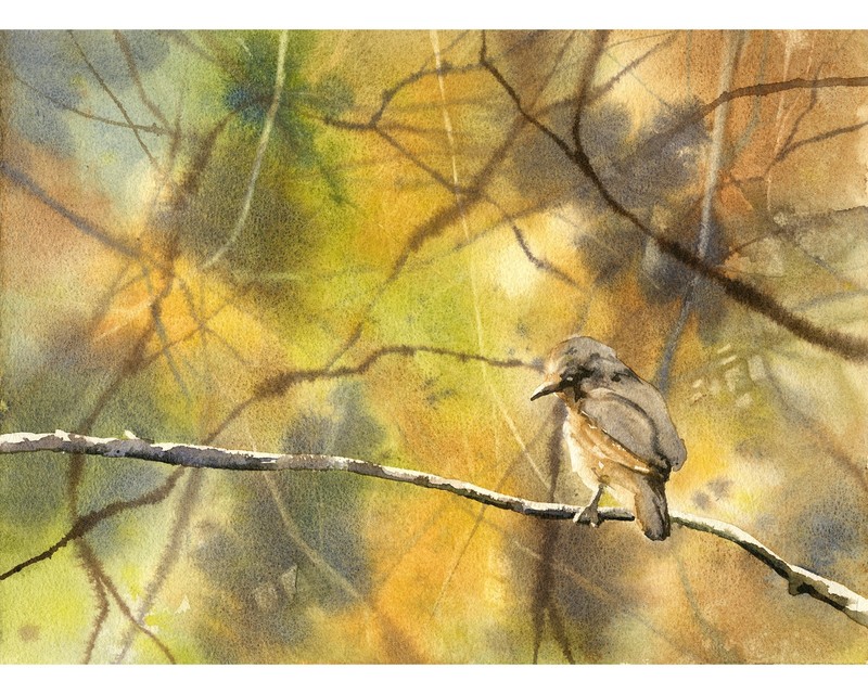 Watercolor painting songbird branch forest decor house handmade item (original)