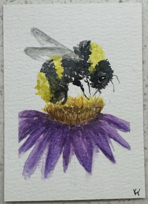 ACEO original Watercolor Bee on Purple Flower Painting on Paper rubear_farm