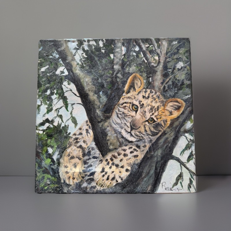 YOUNG LEOPARD OIL PAINTING MYSTERY ARTIST “ROSIE” Contemporary 12”x12” Gallery