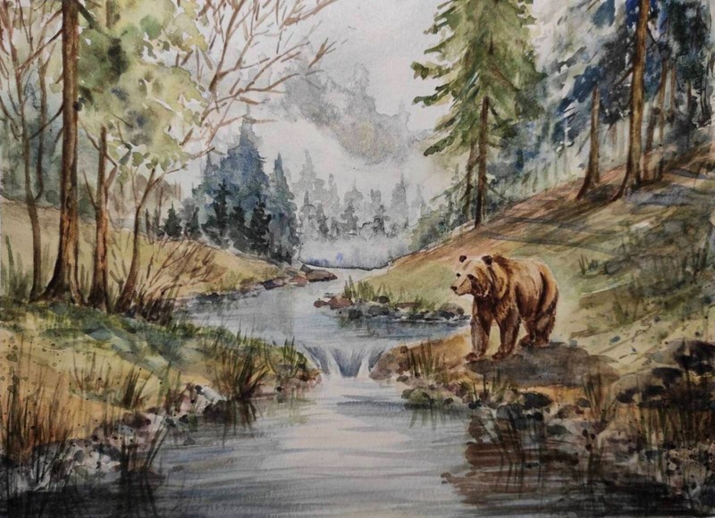 BEAR GRIZZLY Animal WILDLIFE Foggy FOREST Original Art Painting Landscape GiftA4