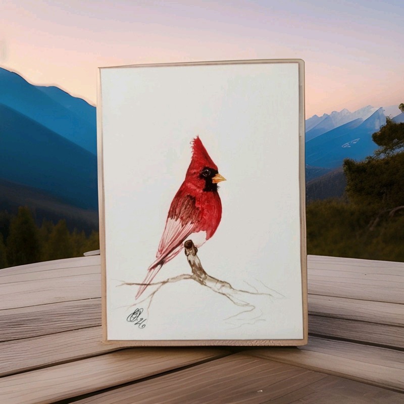 Cardinal Watercolor. gallery