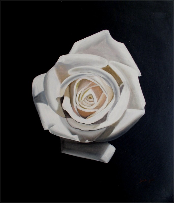 Framed, Single White Rose, Hand Painted Oil Painting 20x24in gallery