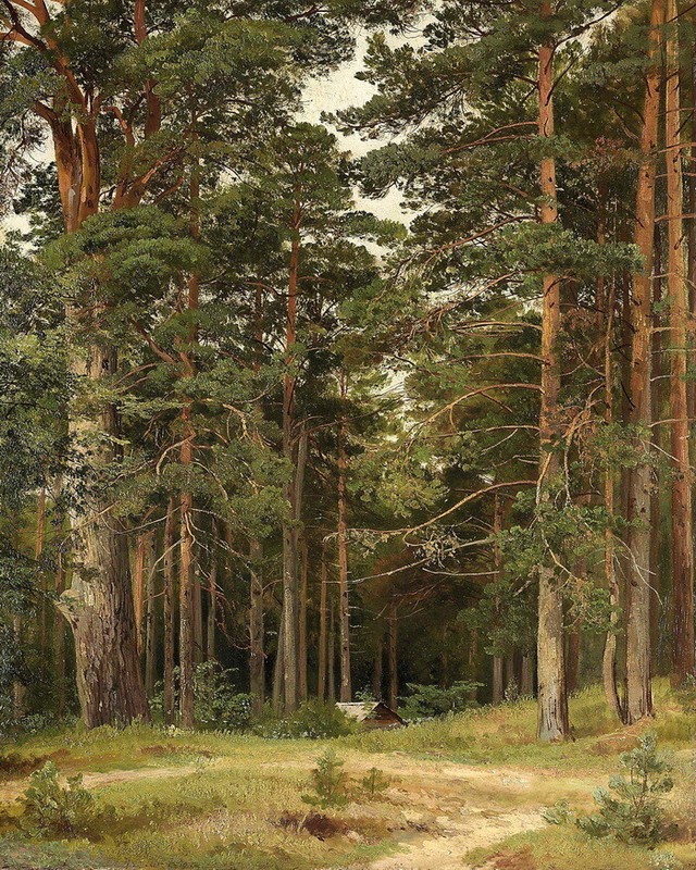 Forest cabin scenery landscape Oil Painting Wall Giclee Printed on Canvas P024