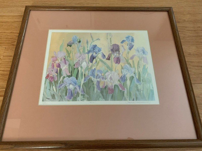Johanna Krasnansky Art Watercolors «IRIS» Framed Painting 362/400 17″ x 15″