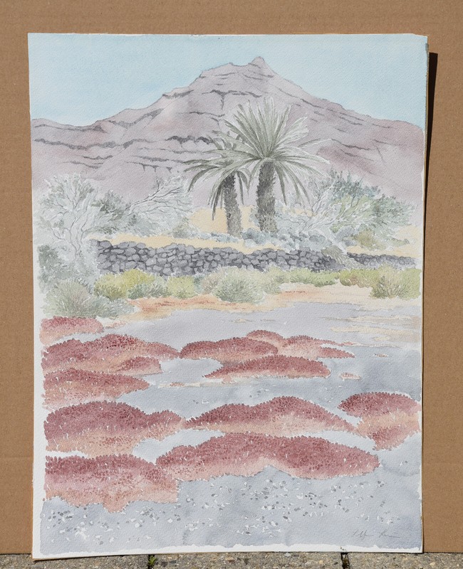 Lothar Braun * 1931 Duisburg / watercolor around 1980 / mountains palms Arizona Krefeld gallery