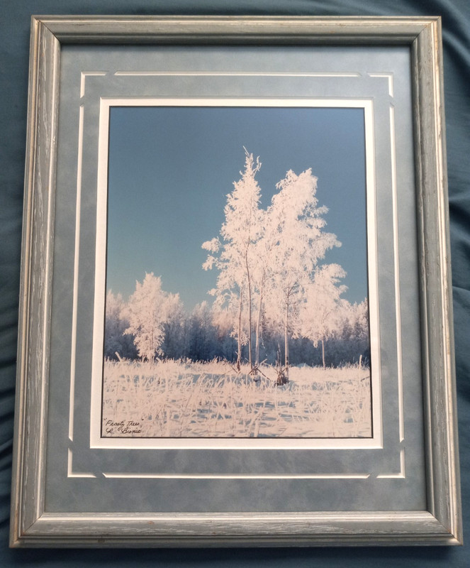 Frosty Trees Framed Art Print by R. Bienia 15 5/8″ x 12 5/8″ Sighed
