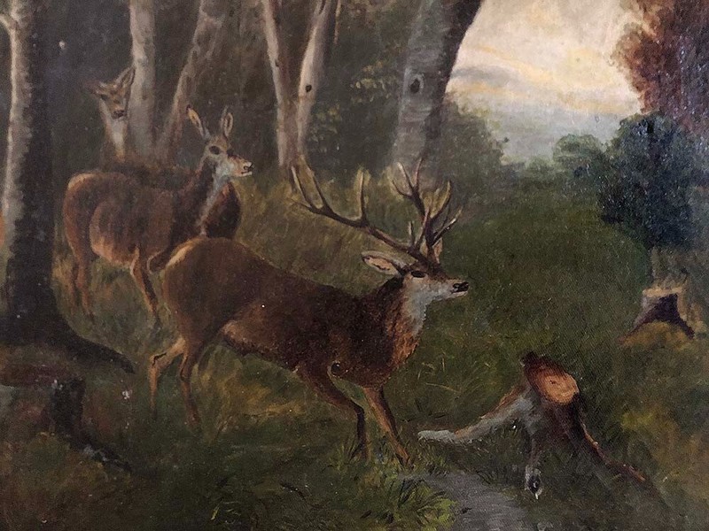 Vintage Old Antique Mid - Late 1800s Deer in Forest Landscape Oil Painting gallery
