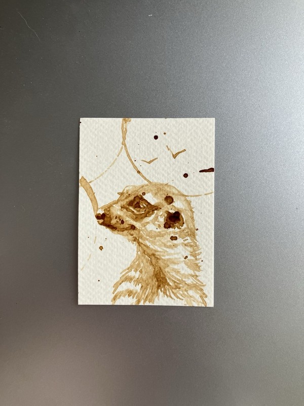 ORIGINAL Coffee Meerkat Painting Animal Lover Art Aceo Gift ATC Java Artwork US