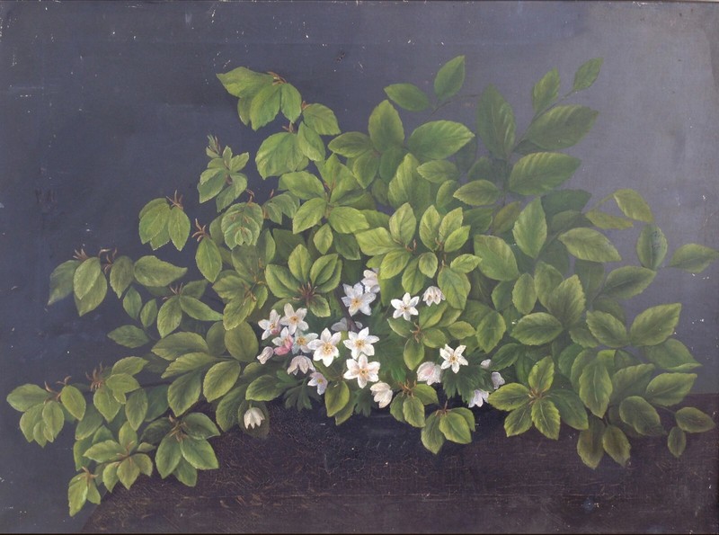 DELICATE WHITE FLOWERS AND GREEN LEAVES gallery