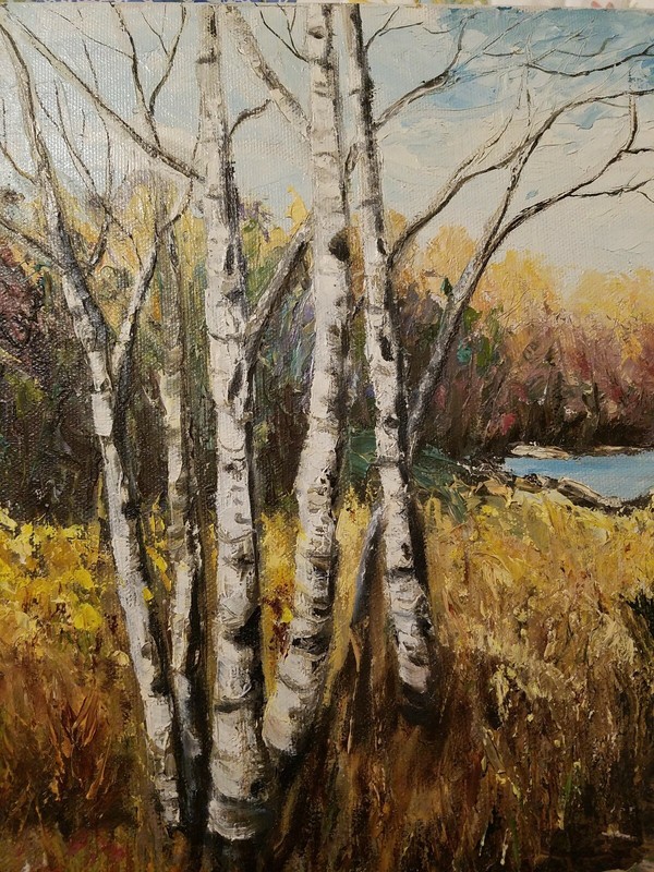 Painting Autumn Fall Birch Trees OiL Canvas Board signed Fern Bone 80' 16 X 12 gallery