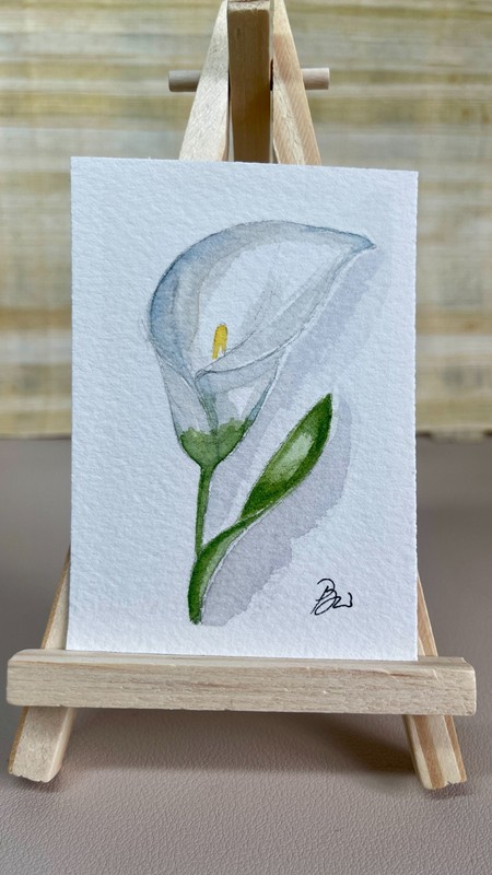 ACEO Original Watercolor Calla Lily White Flower Elegant Botanical Signed COA