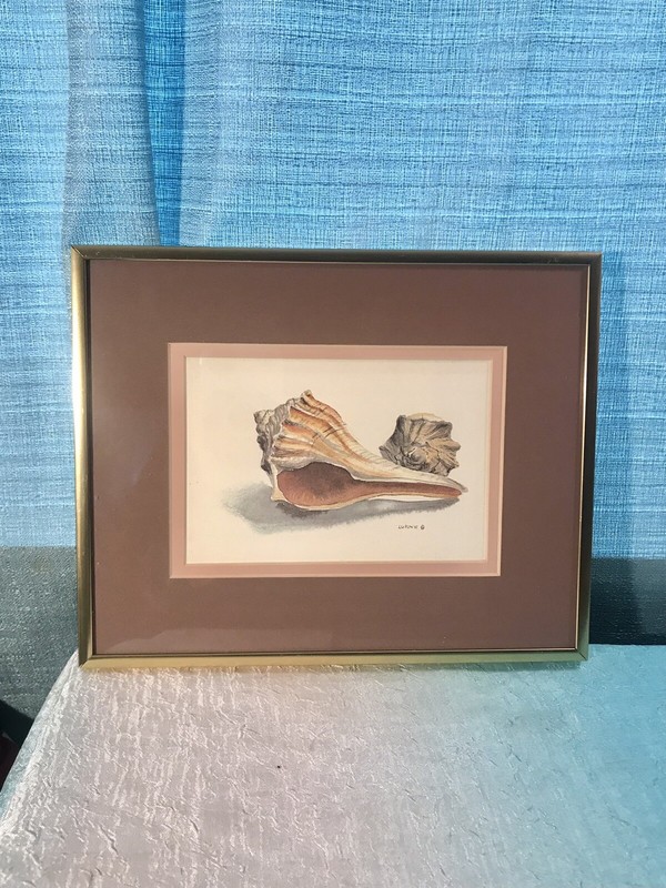 Vintage Original Watercolor Seashells signed Lukovic Beach Decor