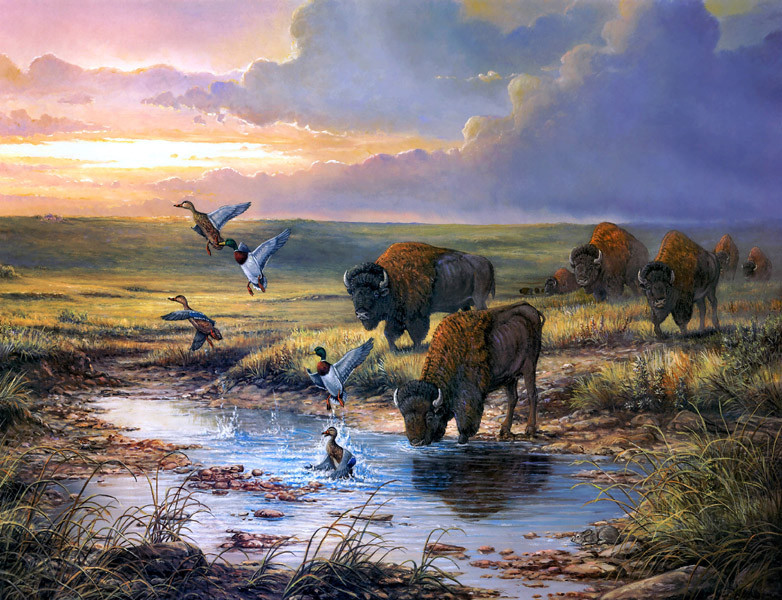 Wall art Western Buffalo oil painting HD Giclee printed on canvas L1677