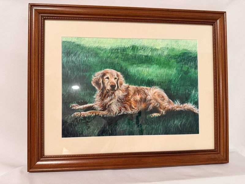 Golden Retriever Laying on Lawn Glass Wood Frame w/Mat Artist Signed 16” x 20”
