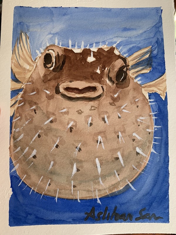 Original watercolor Pufferfish Puffed 7×5 Made to Order undersea fish painting