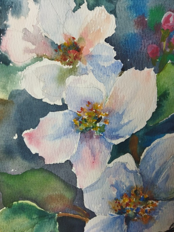 Spring flower Watercolor Painting Original Floral Art Flowers Botanical Art gallery