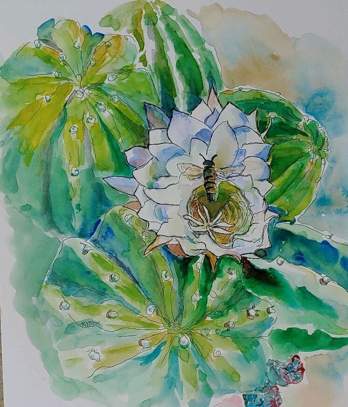 Bee Succulent Blooming Cactus Original Watercolor Painting~ RAMfish Artist gallery