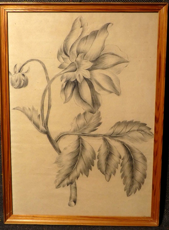 ANTIQUE ORIGINAL DRAWING PENCIL LINA EMILIA AMPT 19TH CENTURY RESTSTATT?